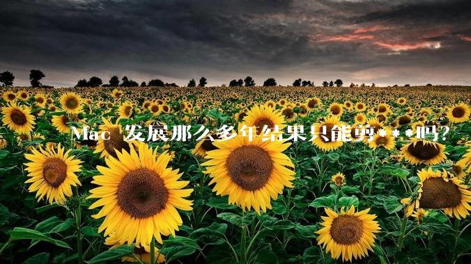 Mac 发展那么多年结果只能剪***吗？