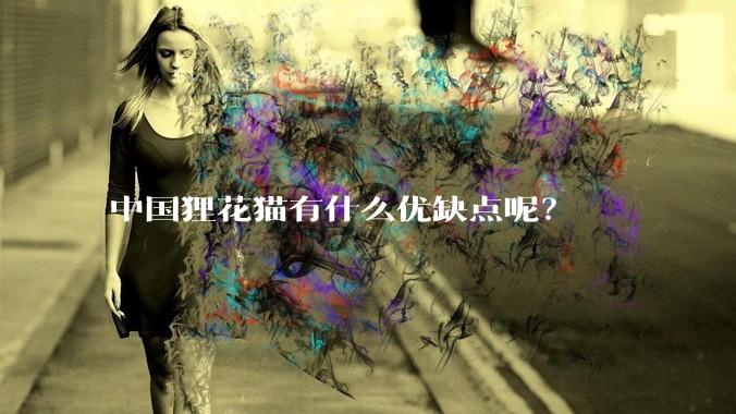 中国狸花猫有什么优缺点呢？