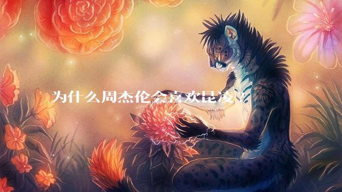 为什么周杰伦会喜欢昆凌?