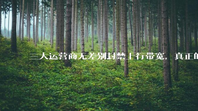 三大运营商无差别封禁上行带宽，真正的刚需用户应该怎么办？