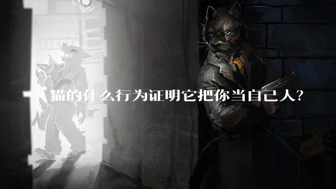 猫的什么行为证明它把你当自己人？