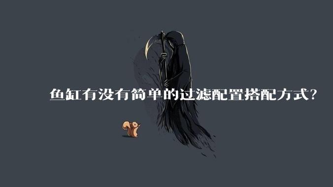 鱼缸有没有简单的过滤配置搭配方式？
