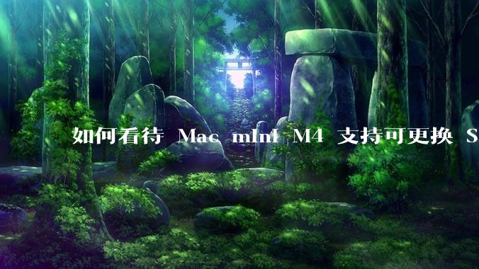 如何看待 Mac mini M4 支持可更换 SSD？