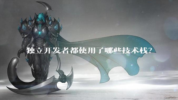 独立开发者都使用了哪些技术栈？