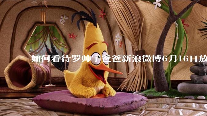 如何看待罗帅宇爸爸新浪微博6月16日放出的录音材料？