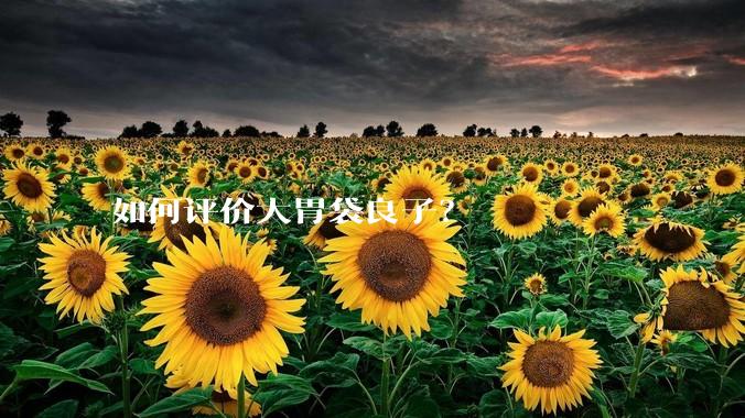 如何评价大胃袋良子？