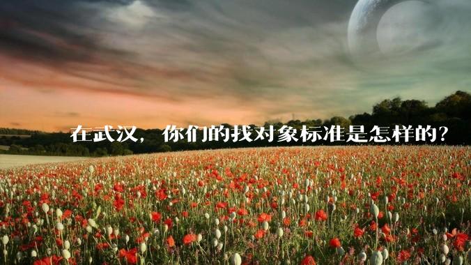 在武汉，你们的找对象标准是怎样的？