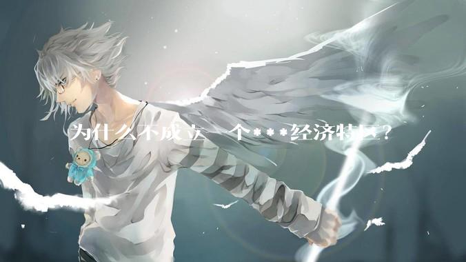 为什么不成立一个***经济特区？