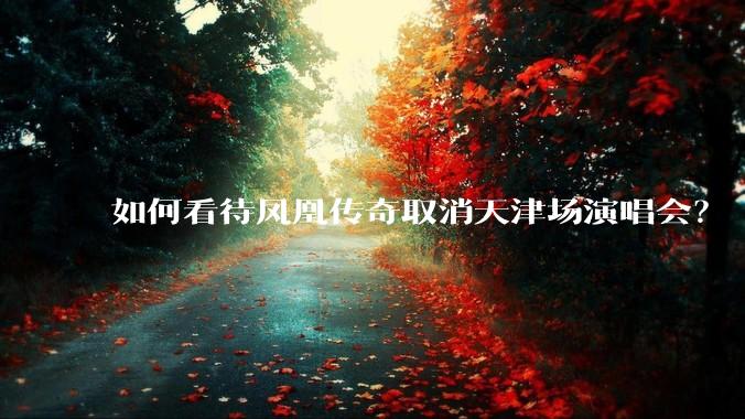 如何看待凤凰传奇取消天津场演唱会？
