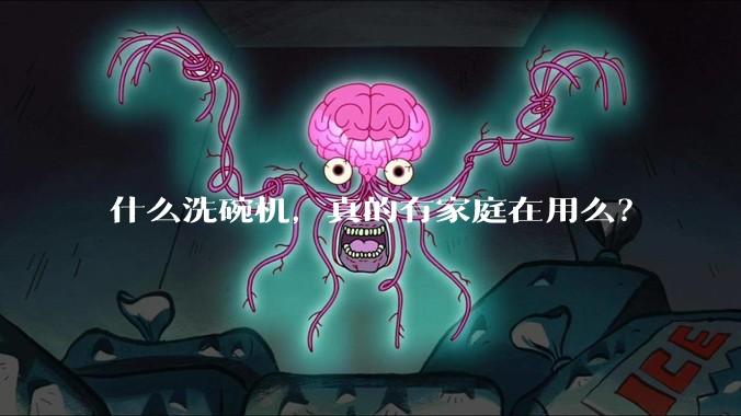 什么洗碗机，真的有家庭在用么？