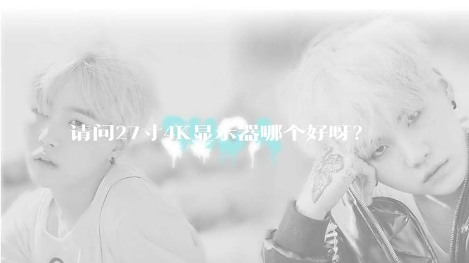 请问27寸4K显示器哪个好呀？