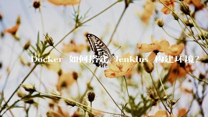Docker 如何搭建 Jenkins 构建环境？