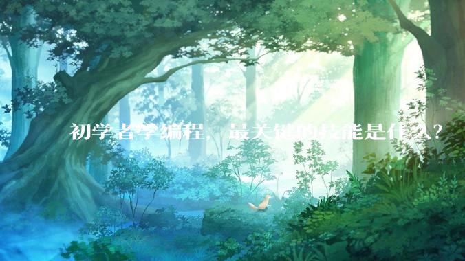 初学者学编程，最关键的技能是什么？