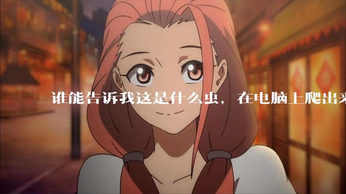 谁能告诉我这是什么虫，在电脑上爬出来吓死我了 ?