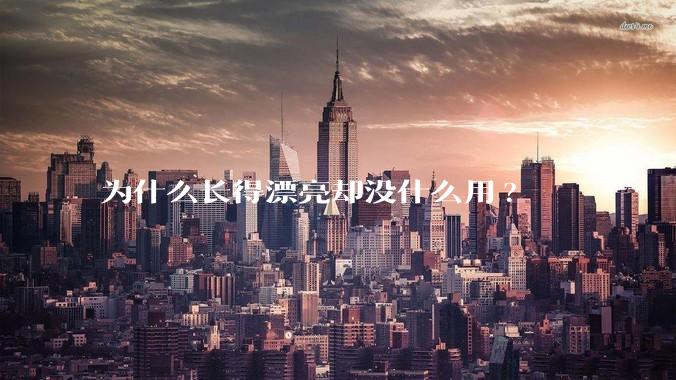 为什么长得漂亮却没什么用?