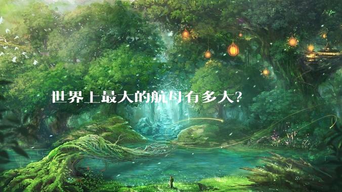 世界上最大的航母有多大？